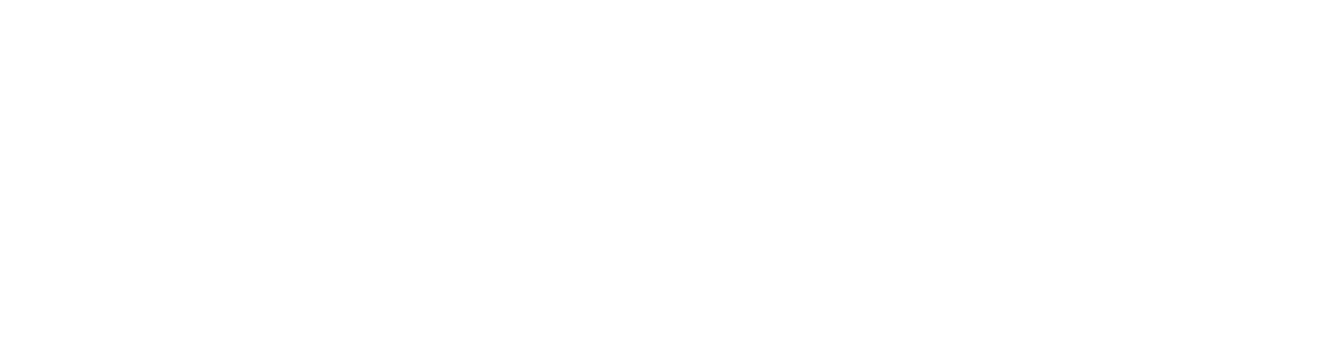 Arena - Literaturinitiative Riehen